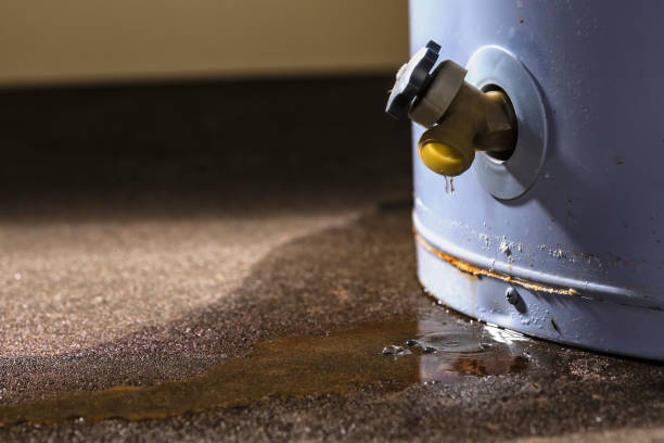 Best Flooded house restoration  in Thousand Oaks, CA