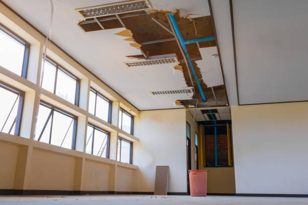 Best Sewage cleanup and water damage restoration  in Thousand Oaks, CA