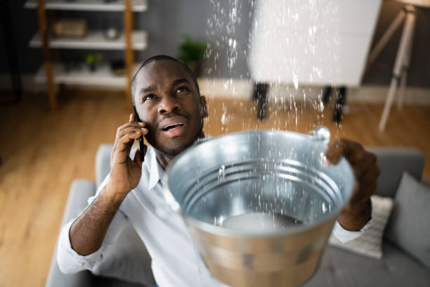 Best Professional water damage repair  in Thousand Oaks, CA