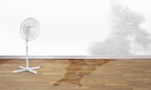 Best 24/7 water damage repair  in Thousand Oaks, CA