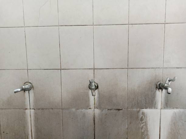 Best Water damage contractors near me  in Thousand Oaks, CA