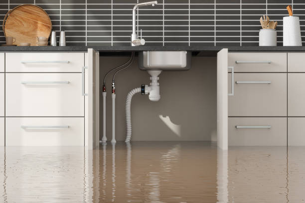 Best 24-hour water damage restoration  in Thousand Oaks, CA