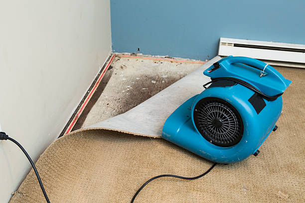 Water damage restoration insurance claims in Thousand Oaks, CA